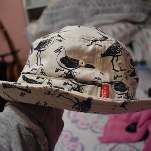 Vans hat